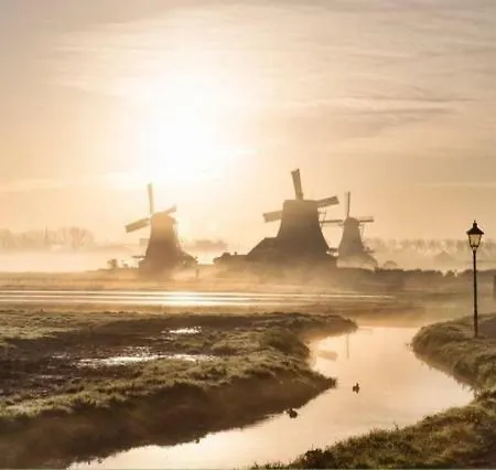 De Lepelaars Nest